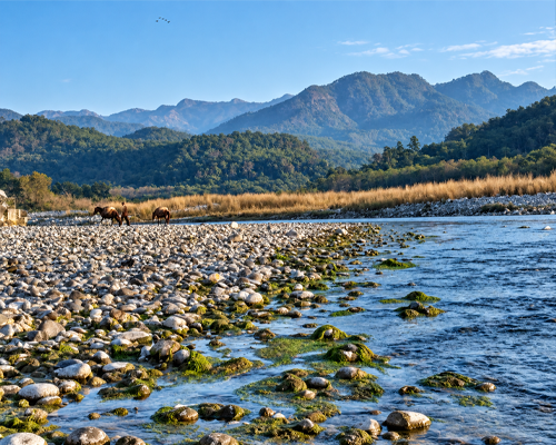 Ramganga River