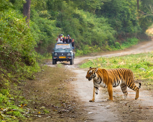 Sonanadi Wildlife Sanctuary